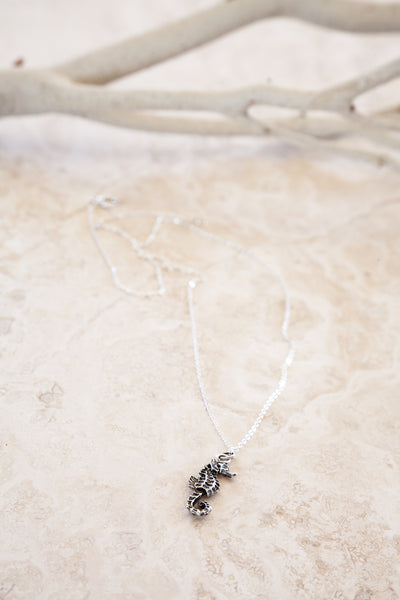 “Let’s Ride to the Sea Together” Seahorse Sterling Silver and Silver Plated Necklace