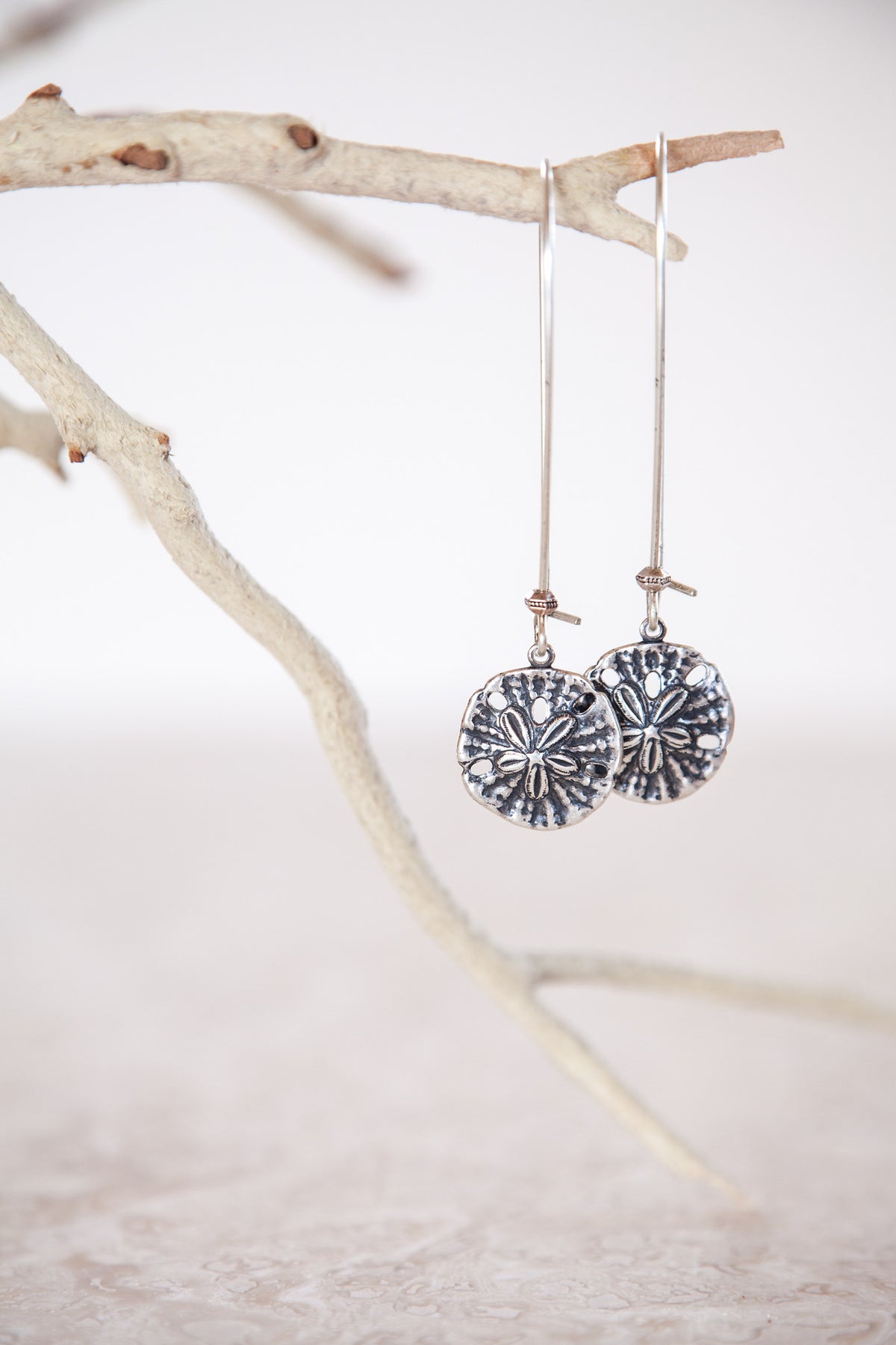 Silver Plated Sand Dollar Earrings